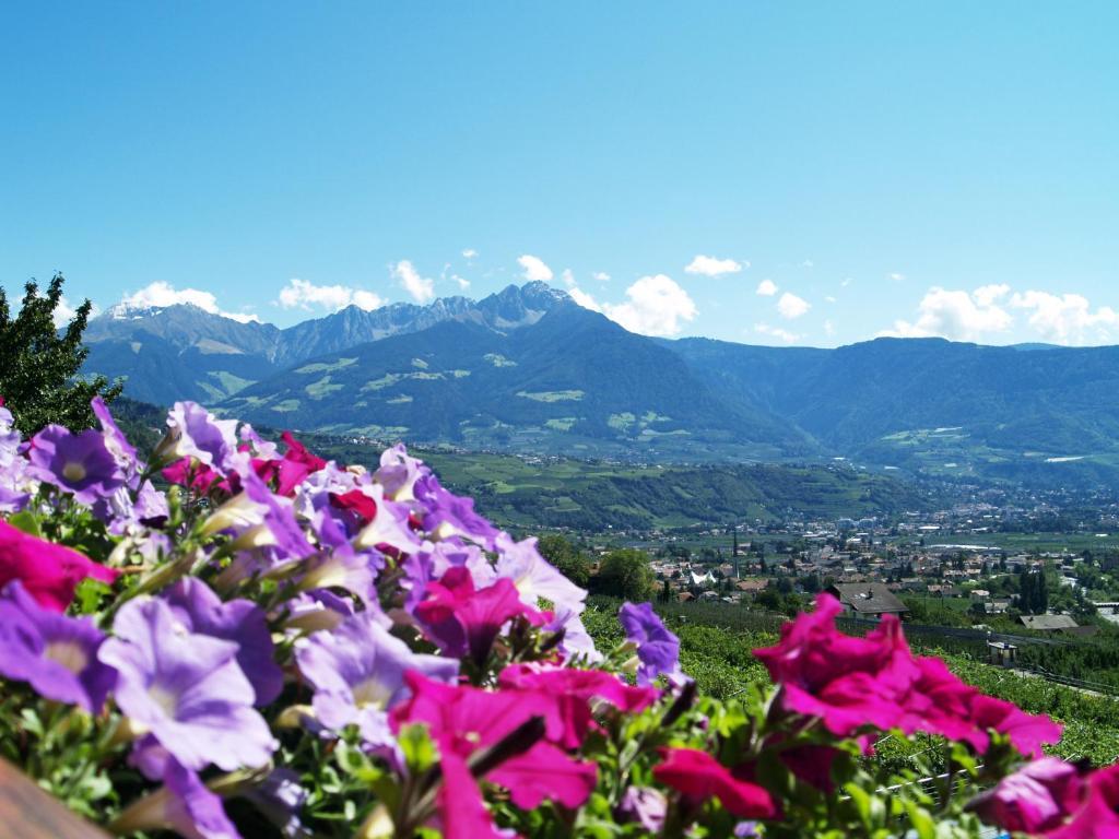 Pension Alpenblick Lagundo Bagian luar foto
